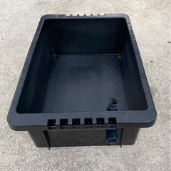 メダカ飼育容器　中古の画像