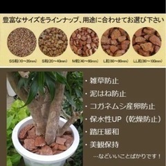 インテリア　バーク★ほぼ新品です★の画像