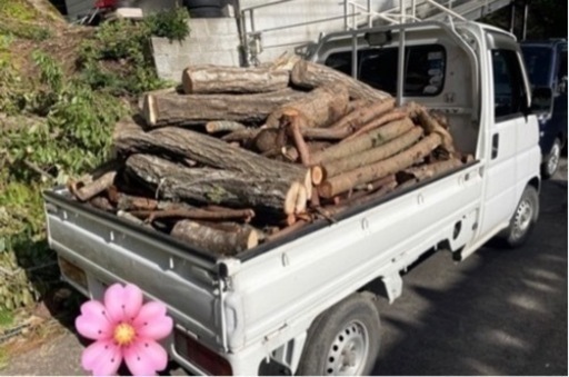 薪🌳原木🌲軽トラック一台分🌴《350キロ》5000円 (メン イン