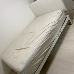 セミダブルベッドフレームの画像