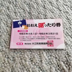 【決まりました】テルメ柏陵　柳川温泉　入浴回数券10枚セット その2