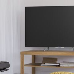 65インチHDR4K液晶テレビ FL-65UD4100【本日メイ...