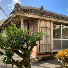 うるま市豊原にある琉球古民家風平屋戸建て物件　敷地100坪〜200坪　生活便利な場所です。　家賃100000円　ご自身でリフォーム可能な香谷お貸し出しします。 - 賃貸（マンション/一戸建て）