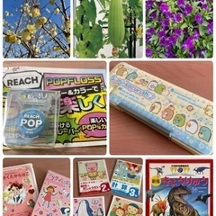 ヘチマ種•ビオラ•蝋梅種•筆箱•ドリル4点•恐竜図鑑•読書本•デ...