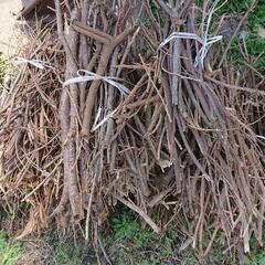 ■マキ 薪 枝 キャンプ 焚き火 桜 金木犀 無料 チェーンソー 薪割り 薪ストーブ

の画像