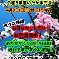 2023年度　メダカ販売4月9日
