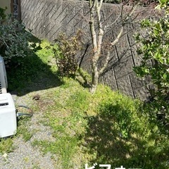 面倒な草抜きお任せ下さい。山口県宇部市西岐波で、便利屋やってます。