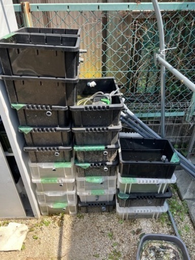 メダカ一式　容器　ブロック　おまけでメダカ