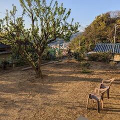 【お話中】 呉市室瀬町 9DK 広々一戸建✨ 家賃初月無料😆 ペット可 高齢、生活保護の方も大歓迎！ - 賃貸（マンション/一戸建て）