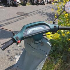 タクト　整備済み　お買い得の画像