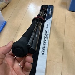 ＧＴシーズンの画像