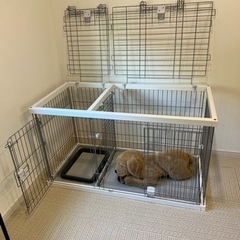 犬　ケージ　トイレ　しつけ　サークルの画像
