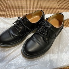 Mサイズ