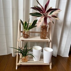 大切にして頂ける方に。