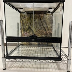 GEX エキゾテラ　値下げしました。