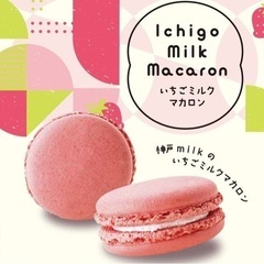 【20%OFF】苺みるくマカロン〈瀬戸乃屋〉