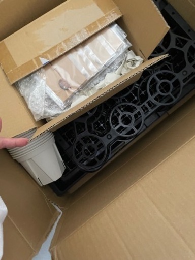 ガーデニング用品　鉢　苗