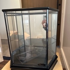 人形ケース 端午の節句ベスト