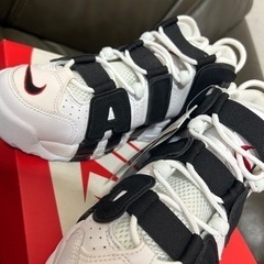 NIKE / ナイキ 24.5cm