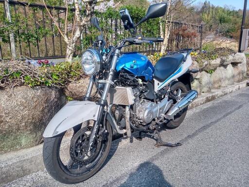 GSR250F　ネイキッド　250cc　中型　バイク