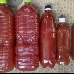 PSB 光合成細菌 500ml めだか/メダカ/金魚/らんちう/グッピーなど③の画像