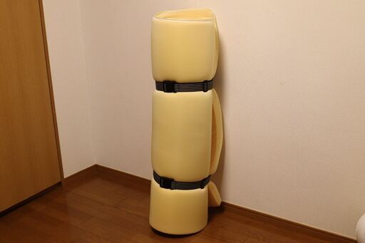 トゥルースリーパープレミアム セミダブル