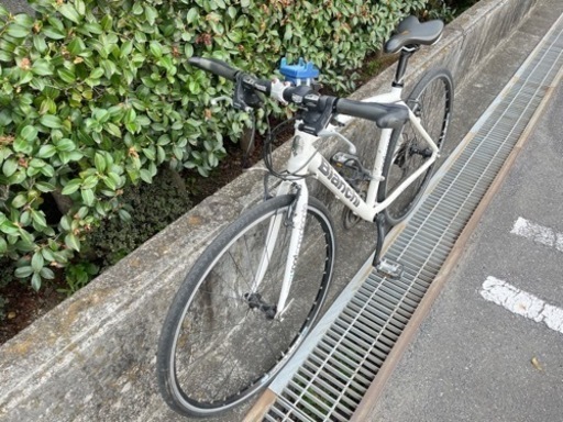 Bianchi ビアンキ　クロスバイク　カメレオンテ3　現状販売 