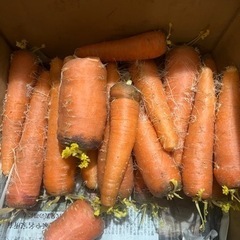 ①にんじんじゃがいもたまねぎ合計2kgまで、今日の23時まで