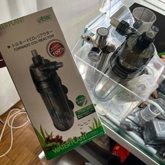 60センチオーバーフロー水槽　引き取りの画像