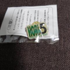 ピンバッジコレクション①の画像