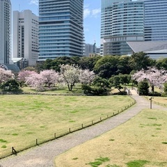 着物着方練習会＆お出かけ会(春の公園＆美術展)４/16(日)
