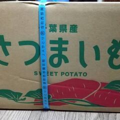 限定３０ケース　令和４年産　千葉県産さつまいも　シルクスイート　１０ｋｇ　Ｃ等級　規格外の画像