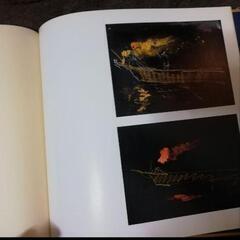長良川流転加藤東一展の画像