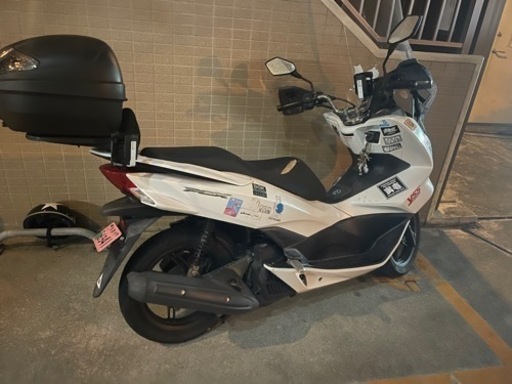 pcxjf56早い者勝ち