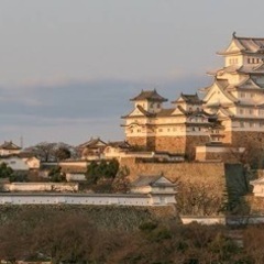 姫路付近でお城好き方いませんか？🏯