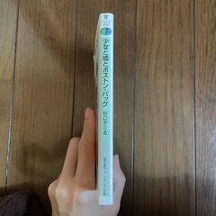 ラノベ【秋口ぎぐる】粛正プラトニック 少女と嘘とボストン・バッグの画像