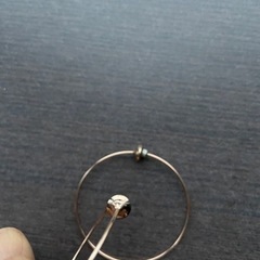 フープピアス イヤリング？タイプの画像