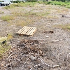 廃材（焚きつけにいかがですか）