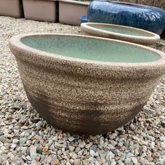 睡蓮鉢　最終値下げ　残り1つの画像