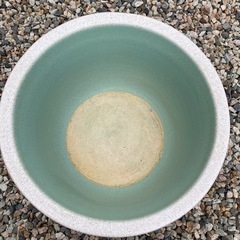睡蓮鉢　③ 値下げの画像