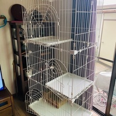 猫用ケージ（未使用）アイリスオーヤマ　3段の画像