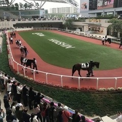 桜花賞🌸ですね〜 − 東京都