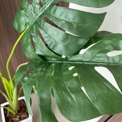 モンステラ　フェイクグリーン　人工造花　鉢付きの画像