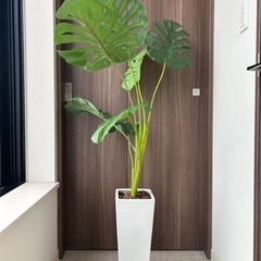 モンステラ　フェイクグリーン　人工造花　鉢付きの画像