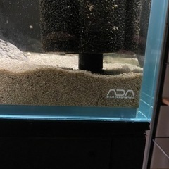 ADA 120cm水槽 aquarium アクアリウムの画像