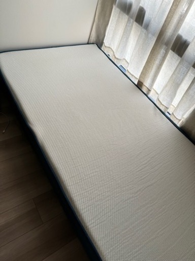 日程合わせます❗️コアラマットレス　シングル