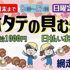 【即日～10月頃まで♪】ホタテの加工業務〈網走〉
