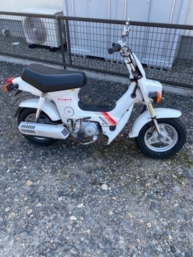 シャリー　50  最終値下げ！