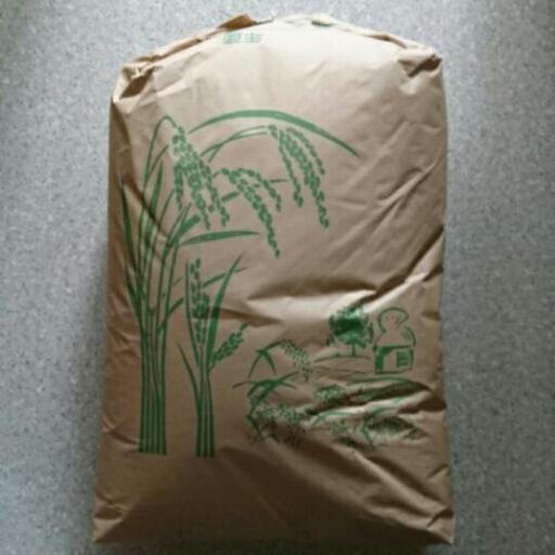 令和4年度 コシヒカリ 30kg 玄米