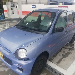 ミニカ　グッピー 商談中